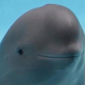 Meet your Posher, Kehlani